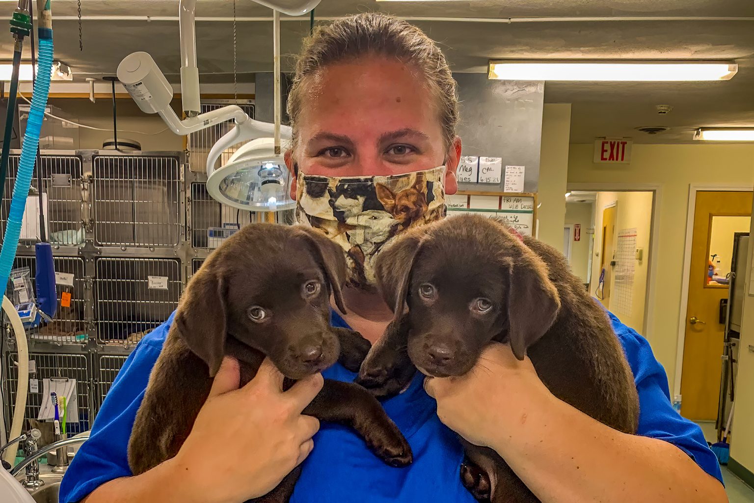 Valley Veterinary Associates Unadilla, NY