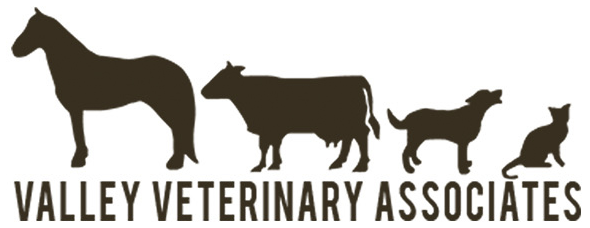 Valley Veterinary Associates